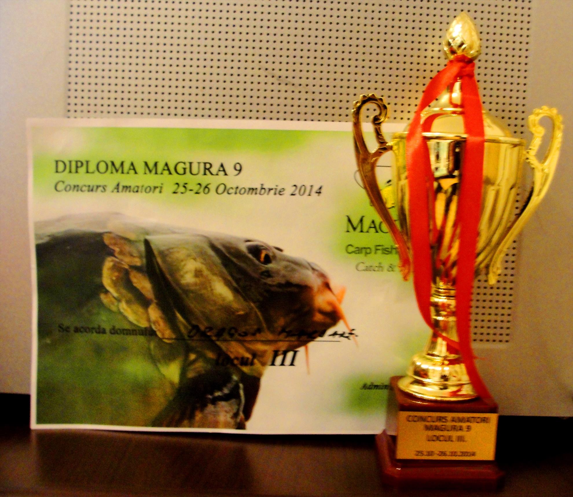 Magura 9 25 - 26 octombrie 2014 - dsc04725.JPG